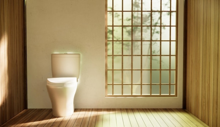 The Magic of Japanese Toilet Seats: Top Reasons to Consider One